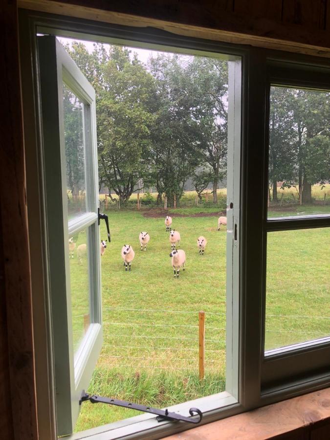 The Big Green Shepherds Hut Charlwood ภายนอก รูปภาพ