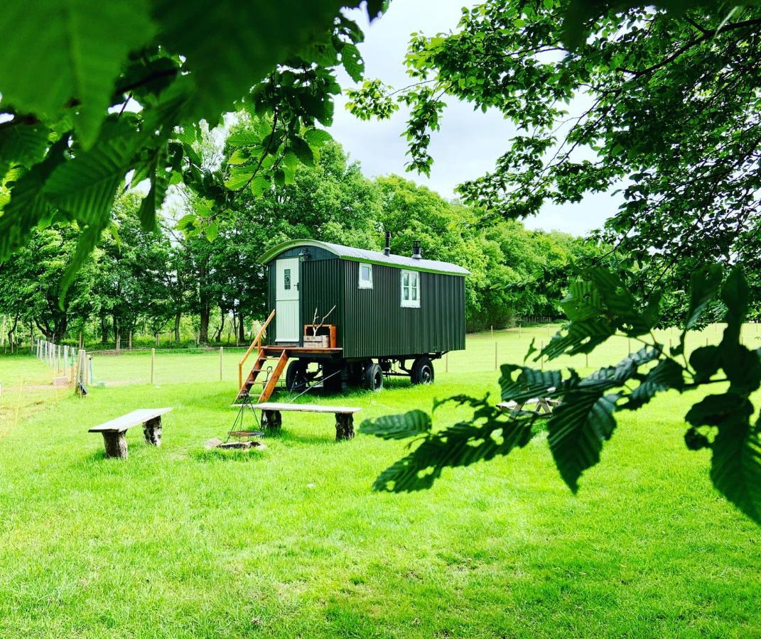 The Big Green Shepherds Hut Charlwood ภายนอก รูปภาพ